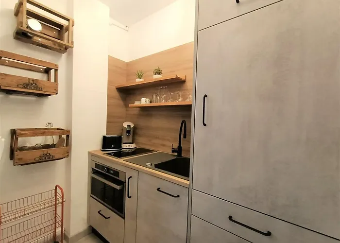 Elegant, Confortable Avec Wifi, Proche Parc - Fr-1-555-59 * Aix-les-Bains