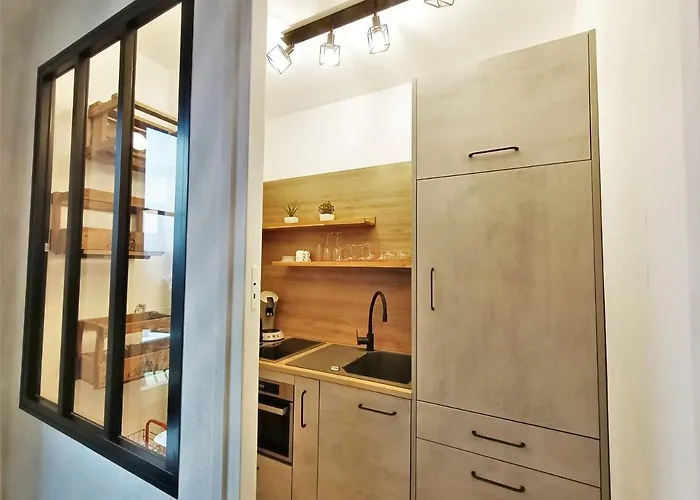 Appartement Elegant, Confortable Avec Wifi, Proche Parc - Fr-1-555-59